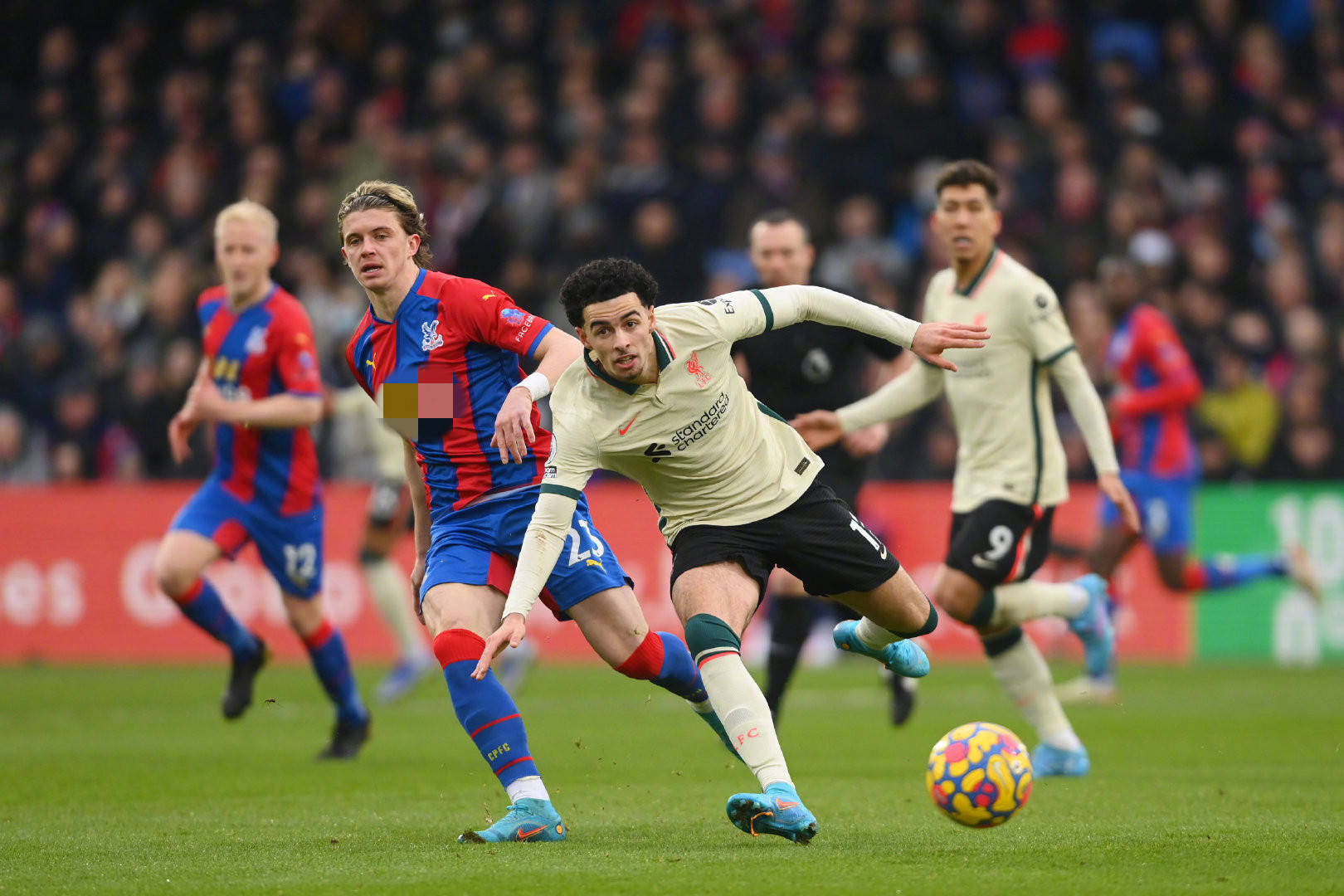 重要补充 重要补充