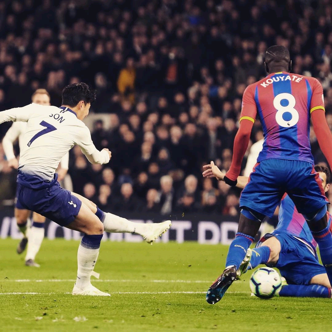 科斯塔的影 科斯塔的影